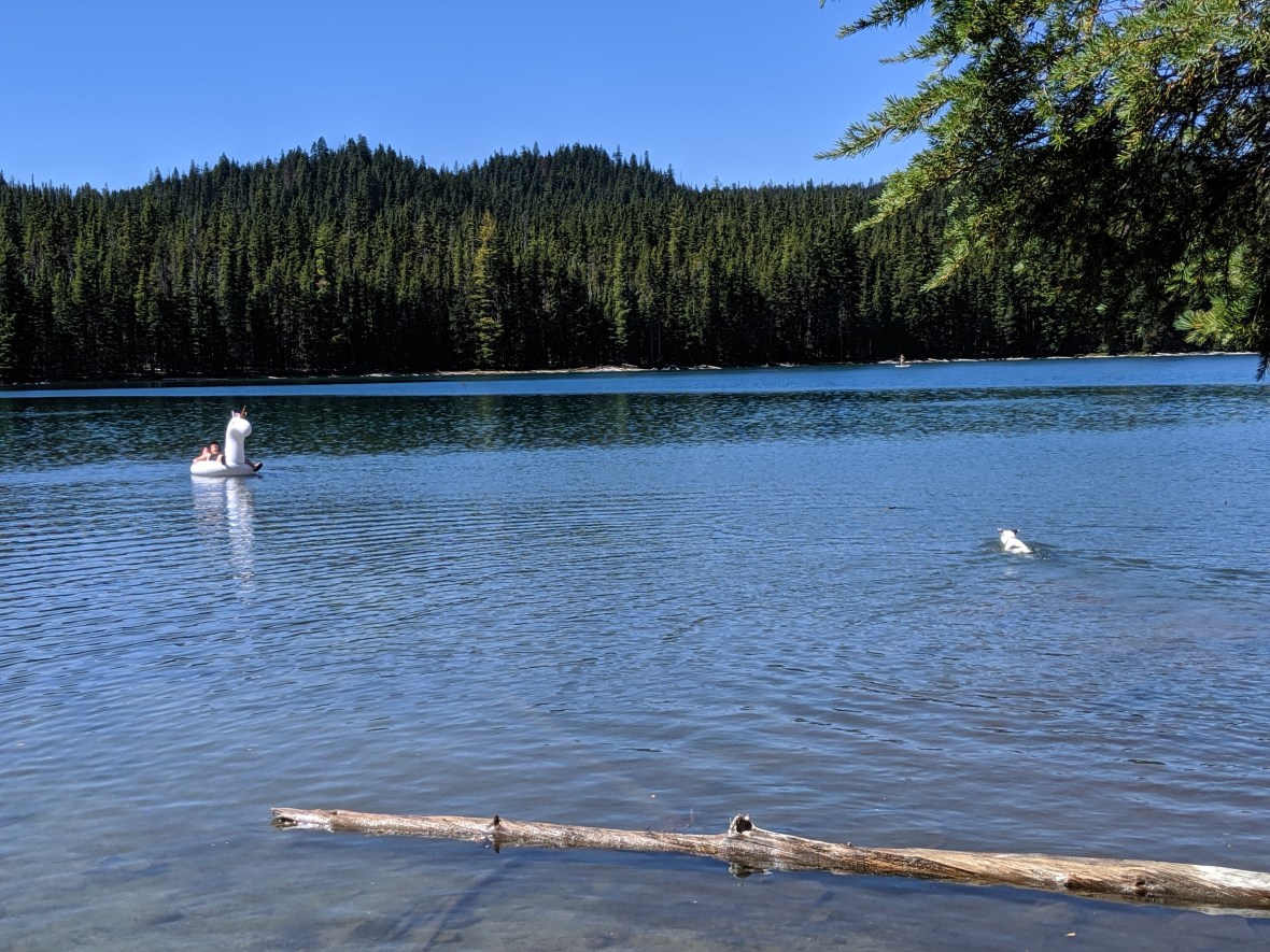 mvimg_20190831_134346