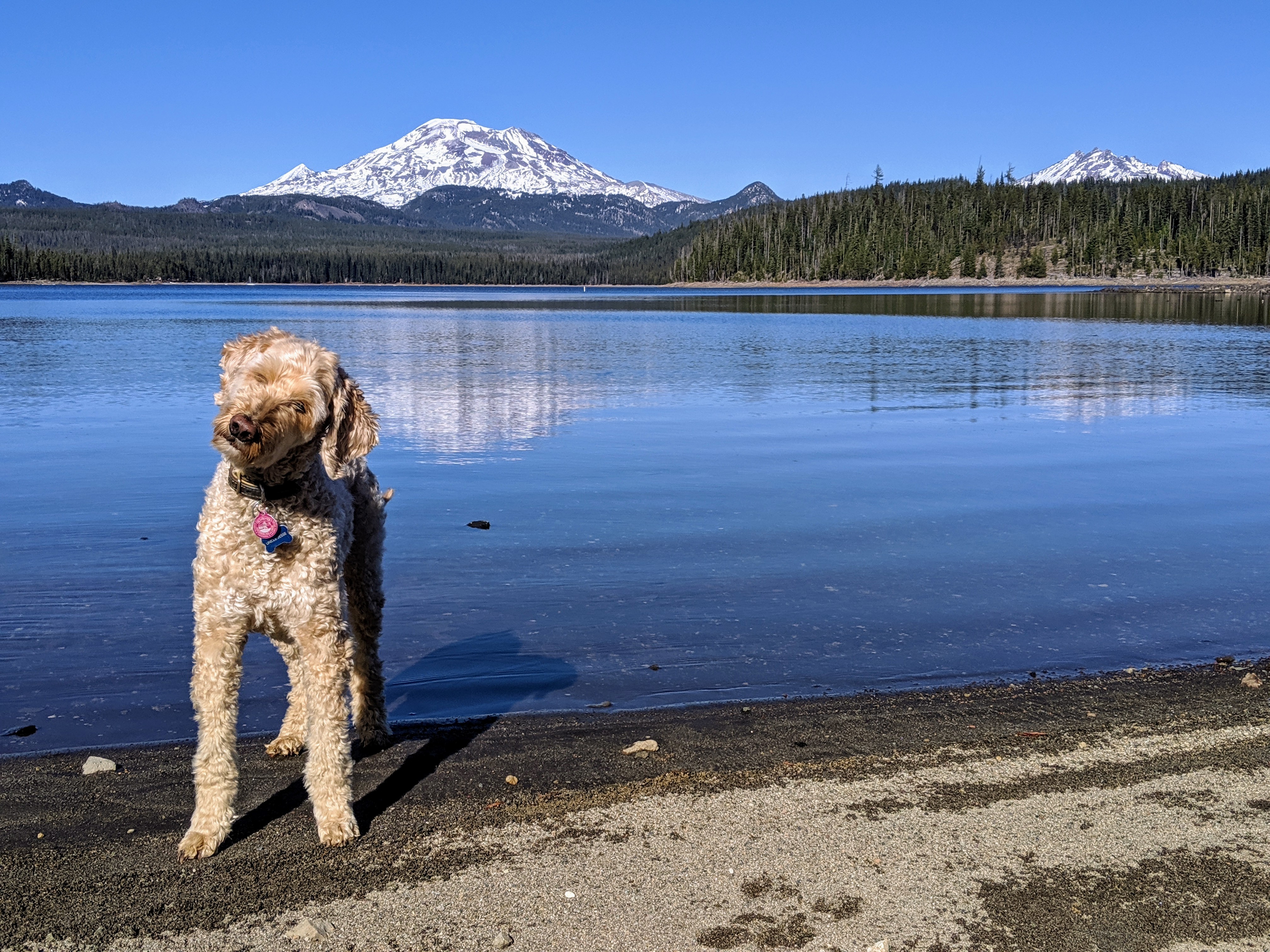 00000portrait_00000_burst20191024143022168