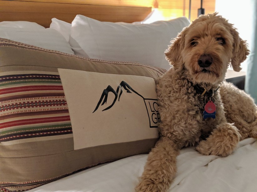 00100lportrait_00100_burst20191111173543057_cover