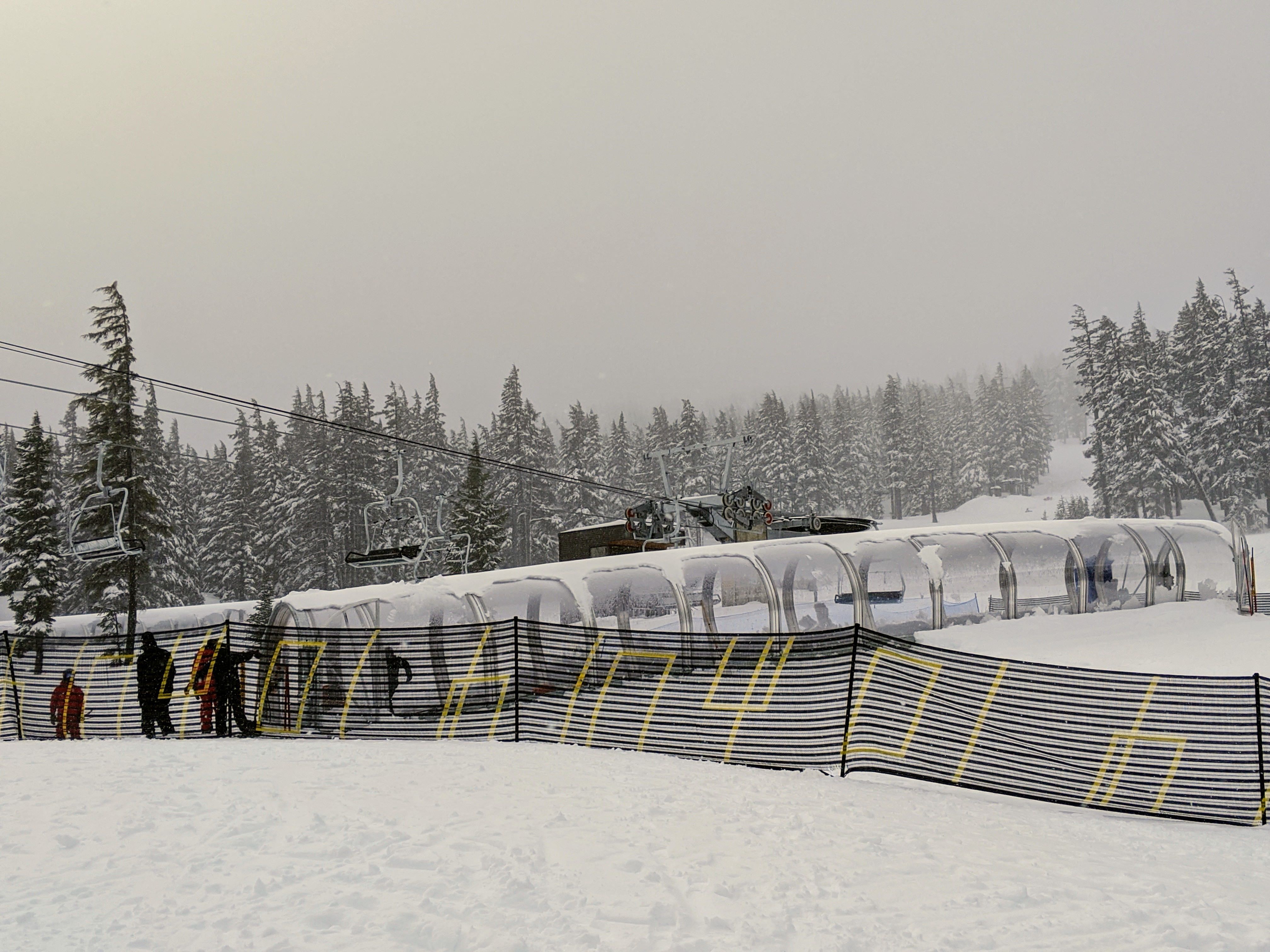 00000img_00000_burst20200127121238155_cover