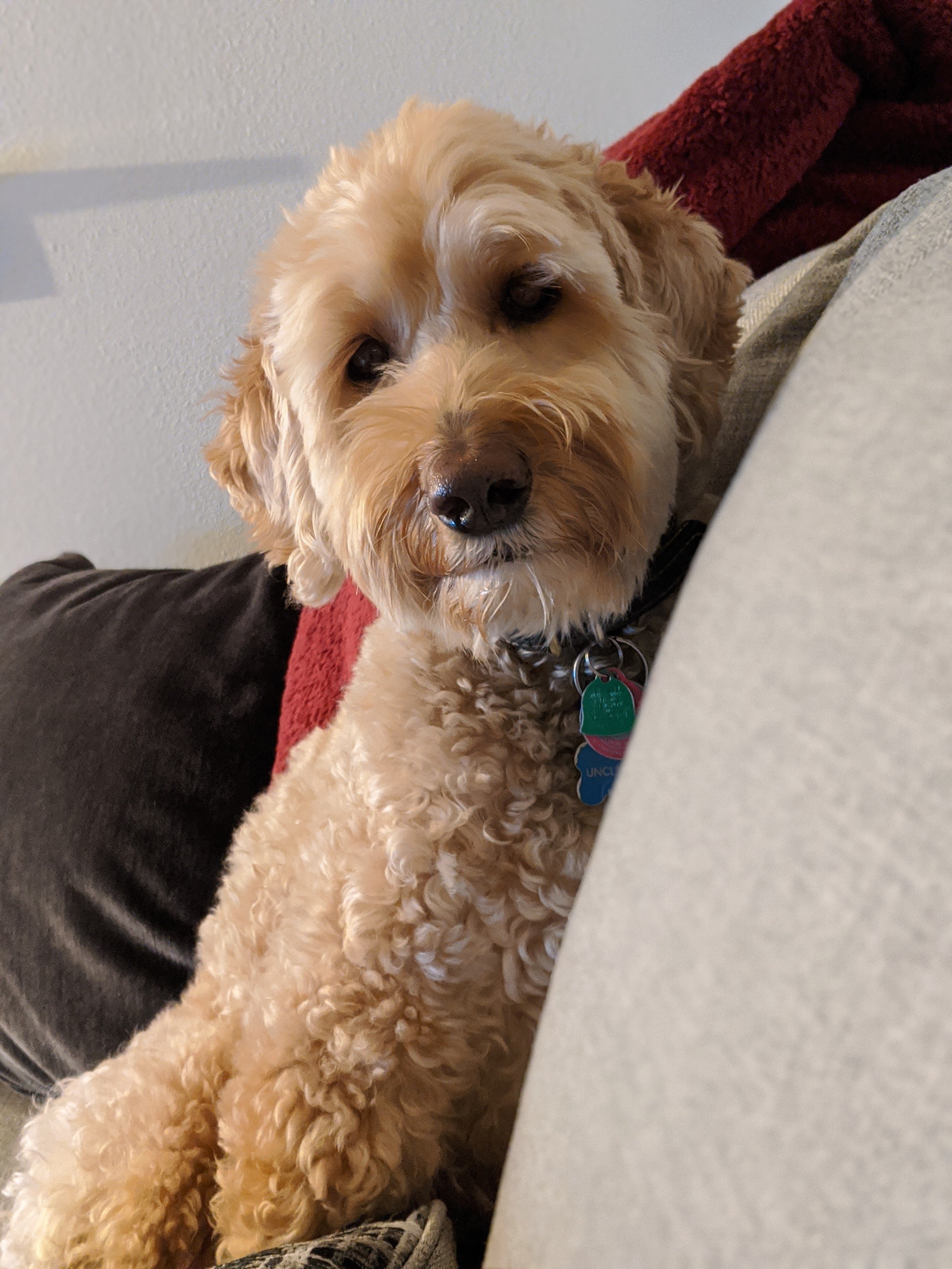 00100lrportrait_00100_burst20200115232902779_cover