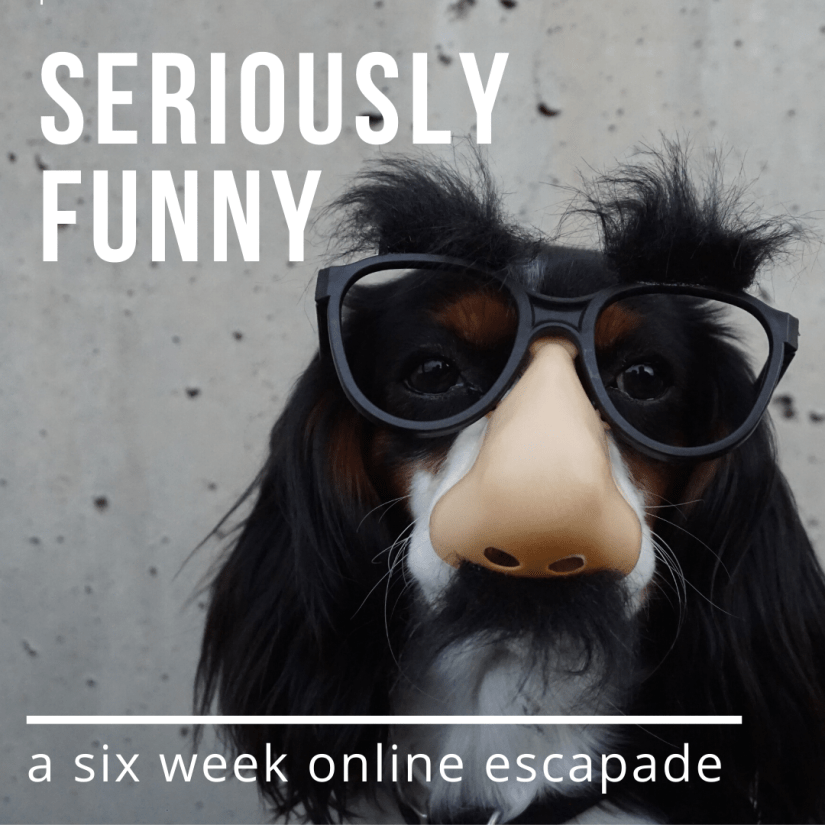 Seriously Funny Blog Widget
