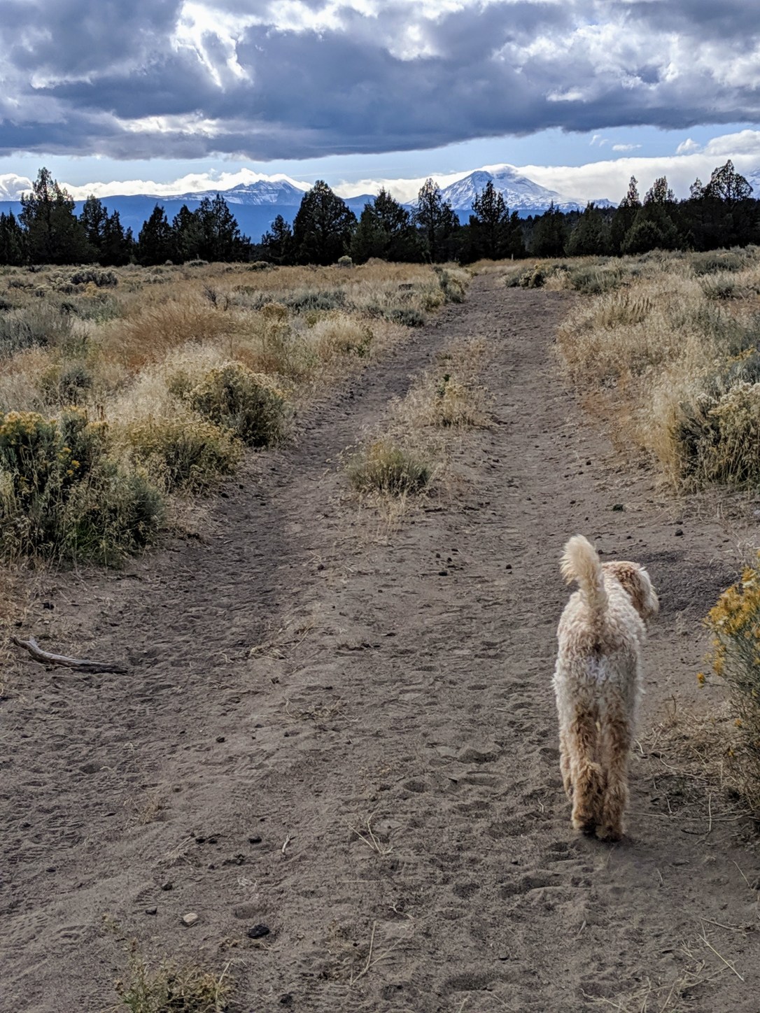 Uncle Jesse butt shot sandy trail mountains