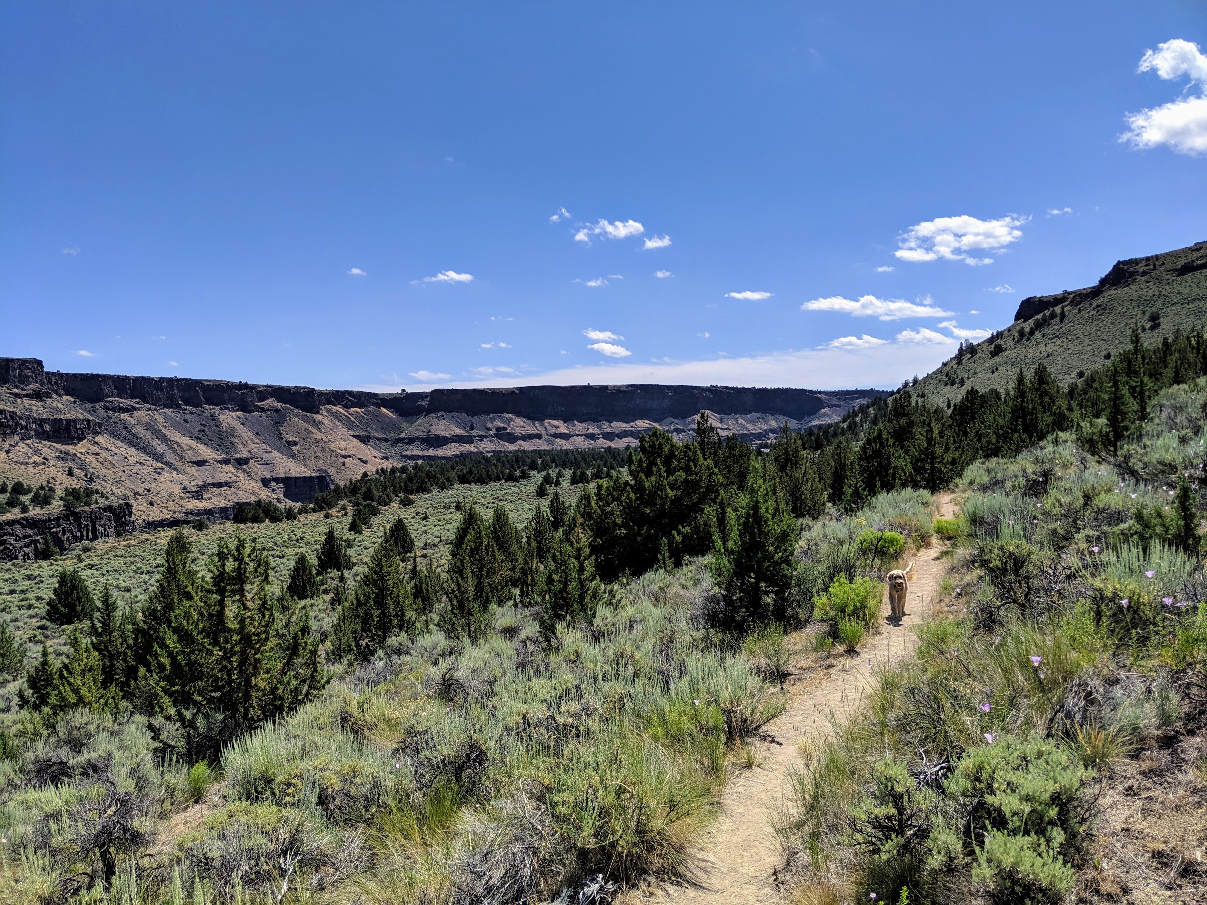 Uncle Jesse on trail in OR
