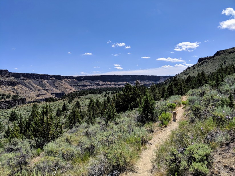 Uncle Jesse on trail in OR