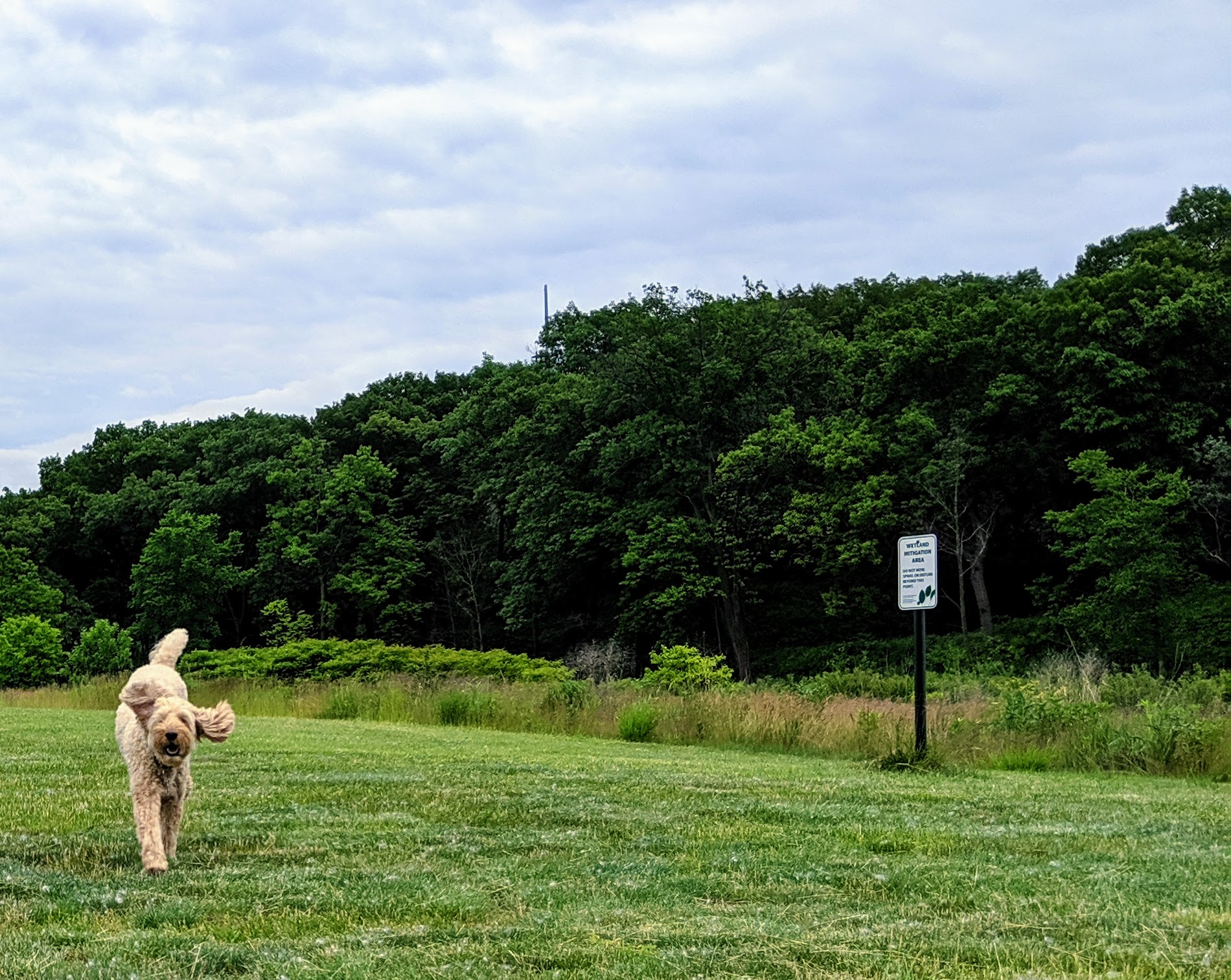 Uncle Jesse running Lake Michigan