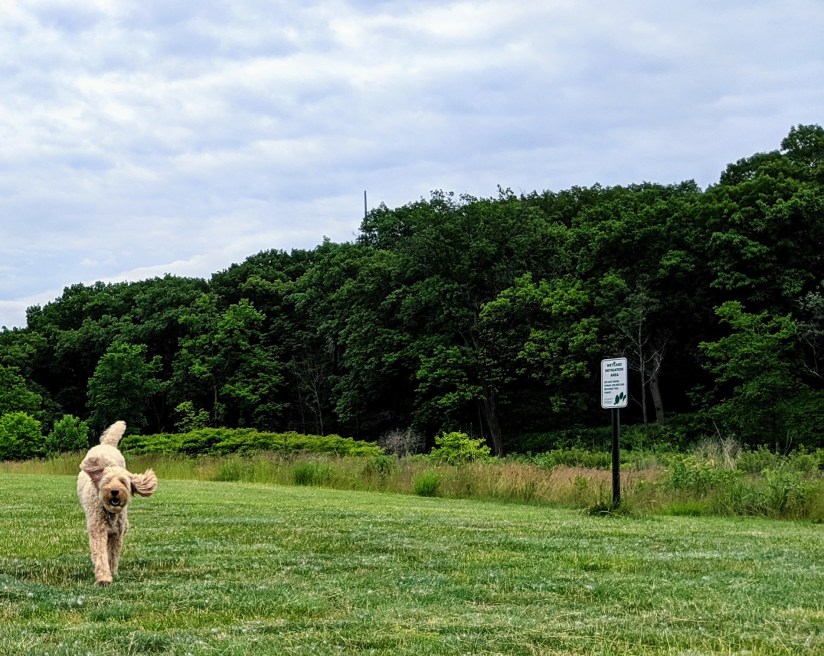 Uncle Jesse running Lake Michigan