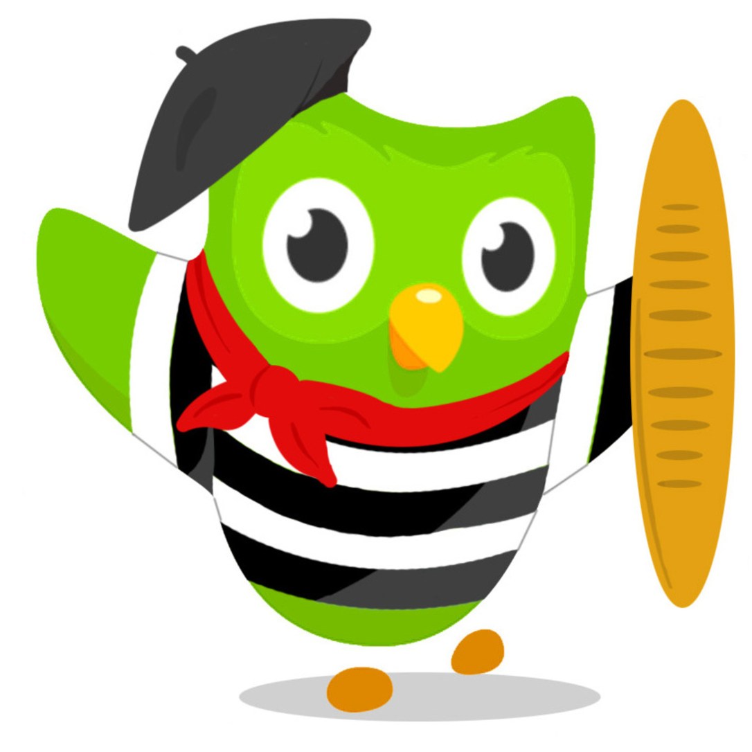 duolingo_french_owl_p3g1Kr8