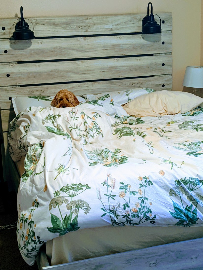 00000img_00000_burst20200313132654888_cover