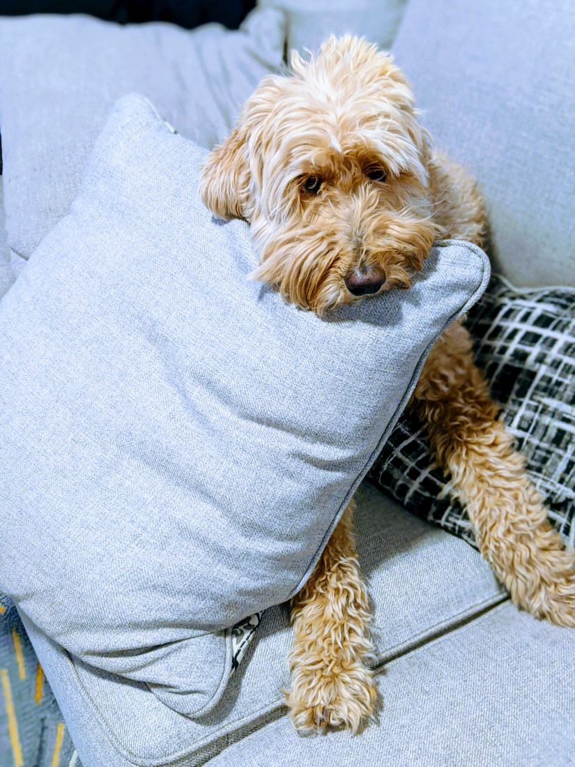 00100lrportrait_00100_burst20200714191651803_cover