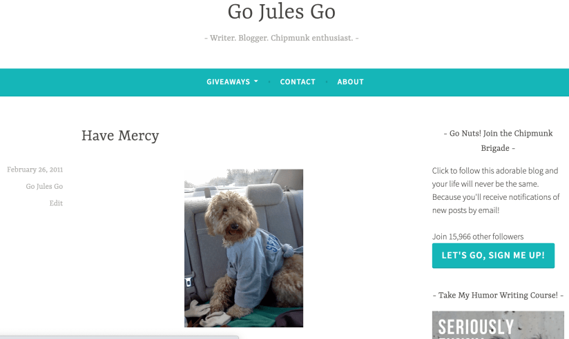 GoJulesGo first blog post