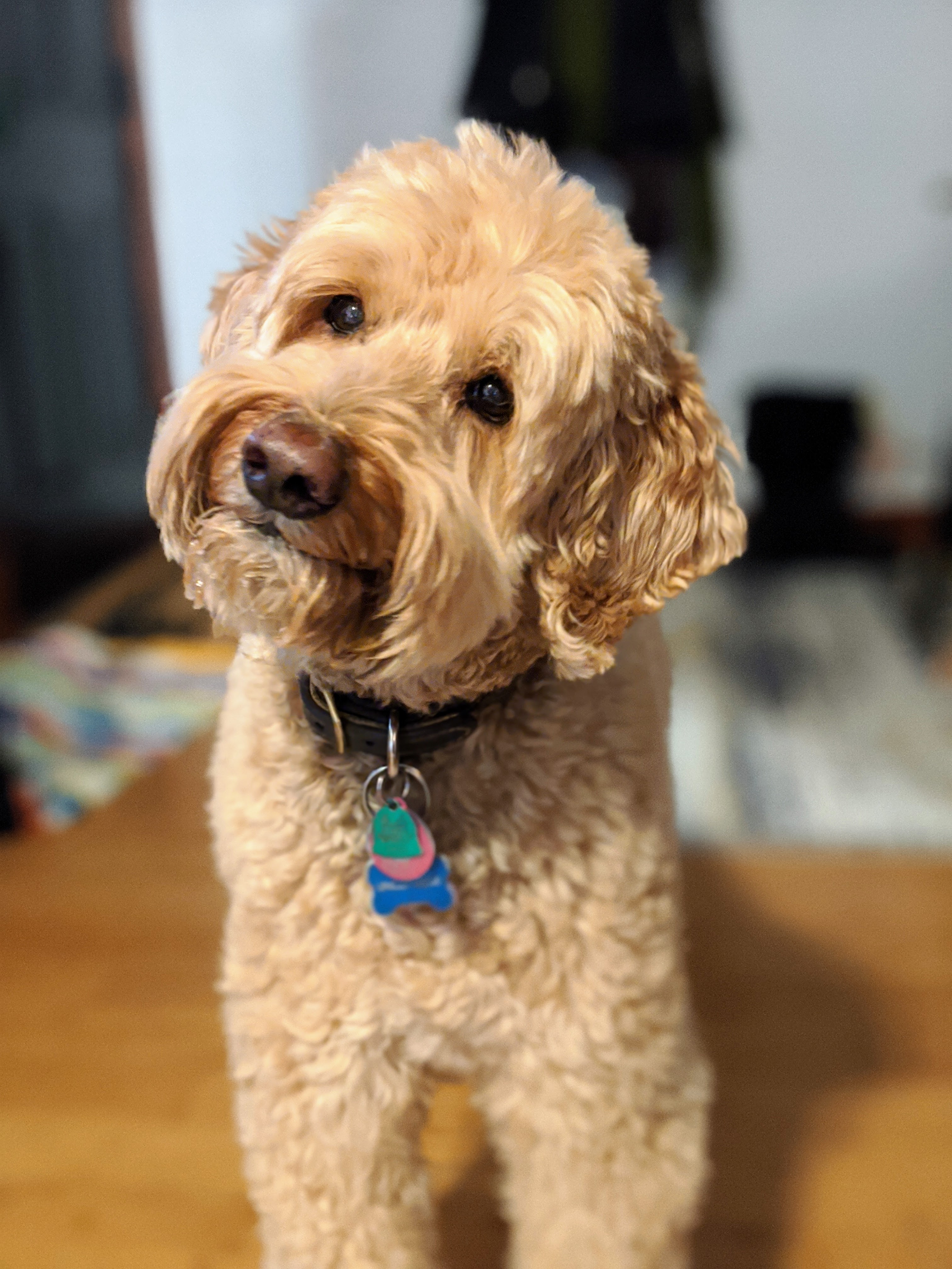 Uncle Jesse gorge 29FEB20