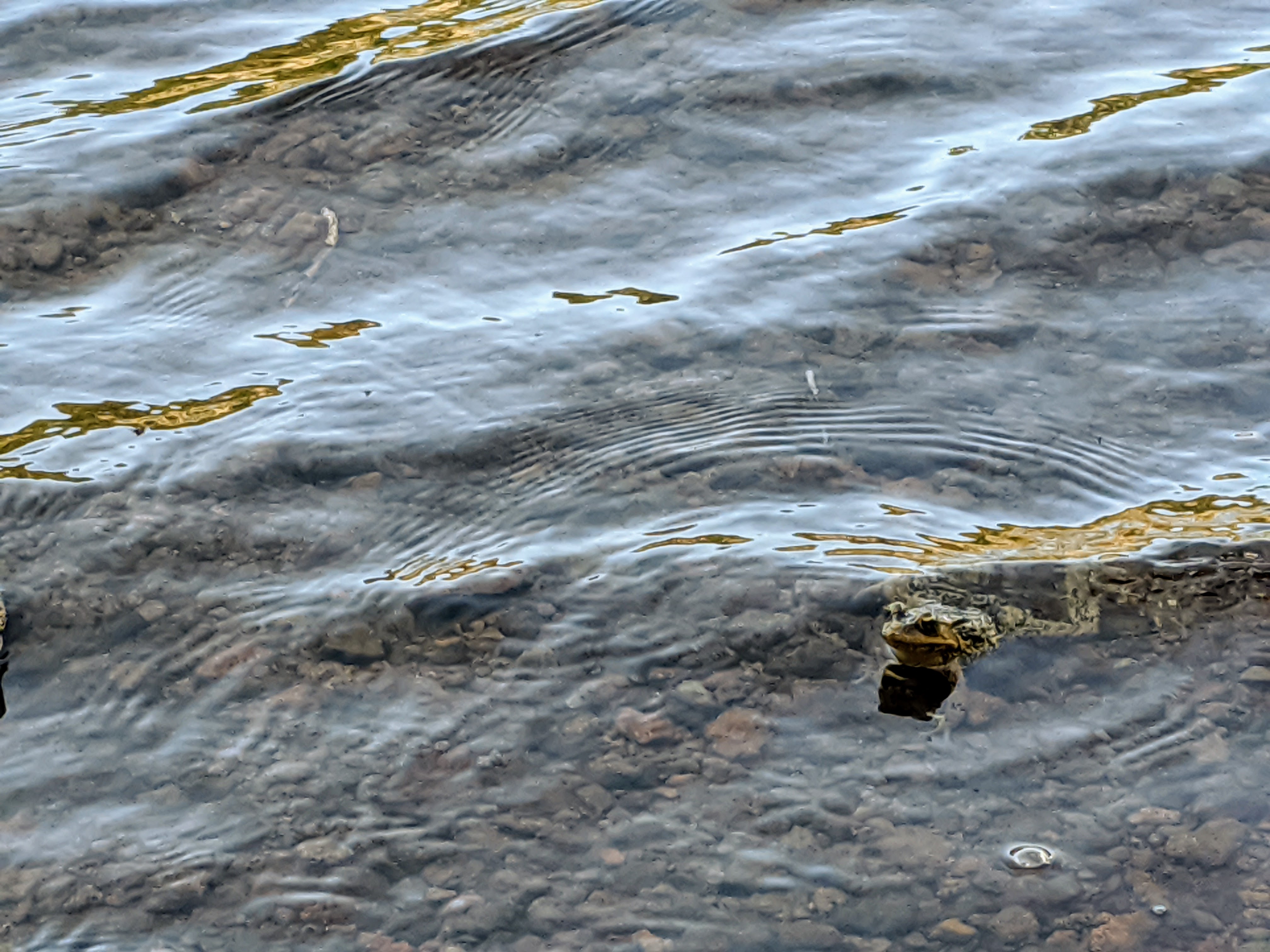 mvimg_20200804_145302