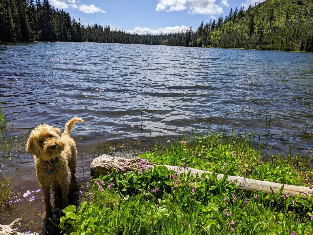 Uncle Jesse Duffy Lake Summer 2020