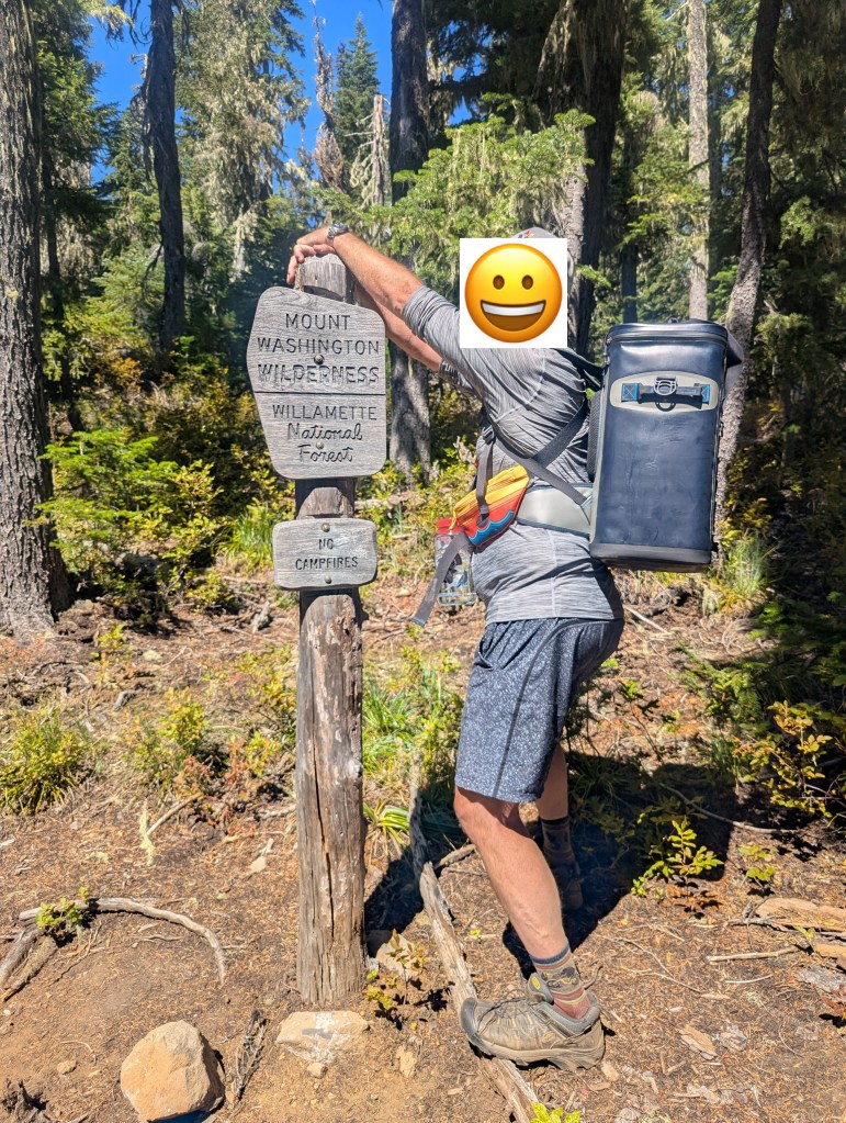 Person standing beside a wooden signpost indicating the Mount Washington Wilderness in the Willamette National Forest, surrounded by trees.